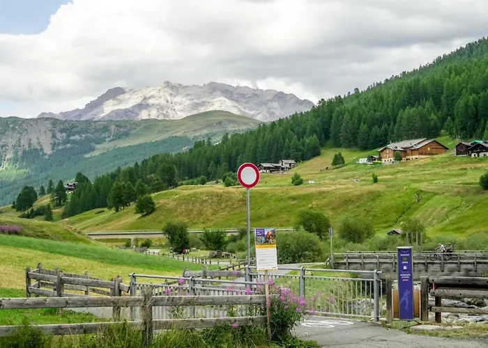 Franz 3 Daire Livigno